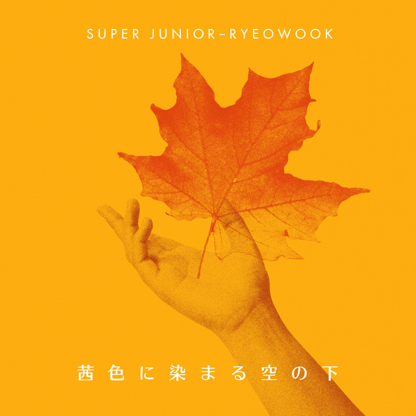 Image Cover