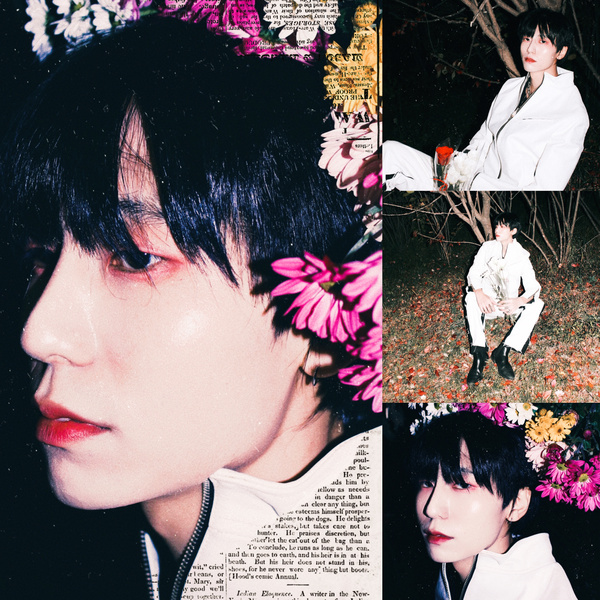 Image Cover