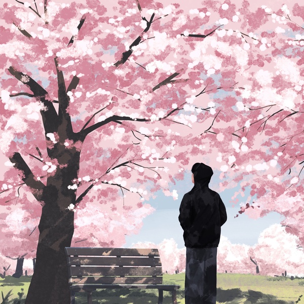 Image Cover