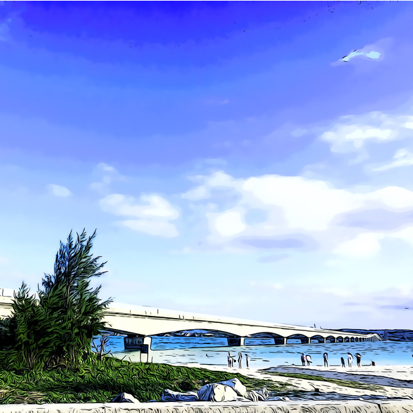 Image Cover