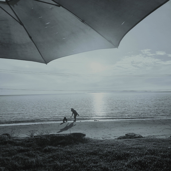 Image Cover