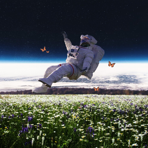 Image Cover
