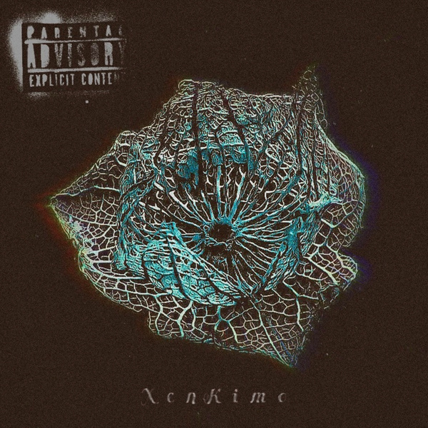 Image Cover