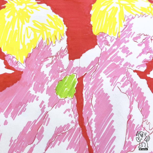 Image Cover
