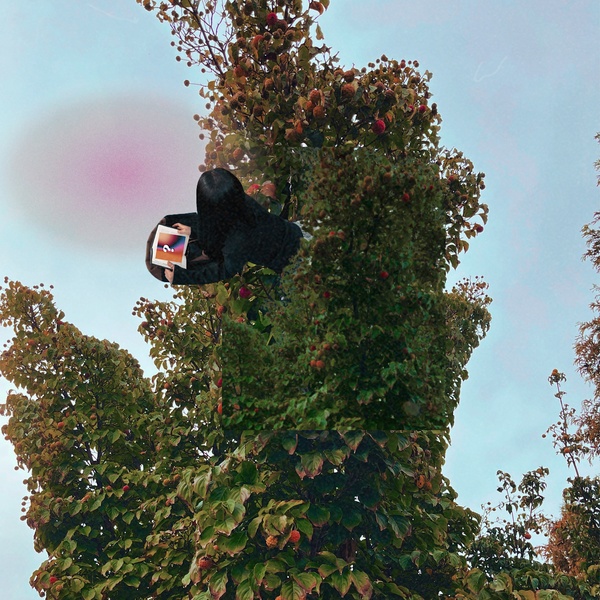 Image Cover