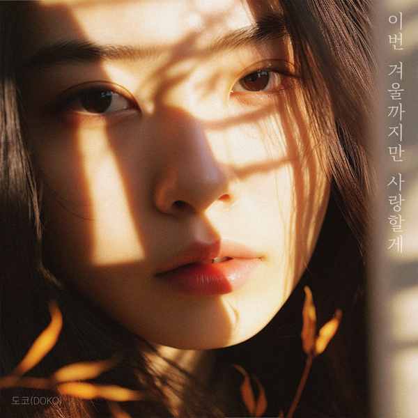 DOKO - 이번 겨울까지만 사랑할게 (I will love you until this winter) Cover
