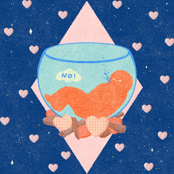 Image Cover