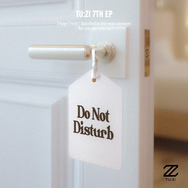 2Z - Anymore Cover