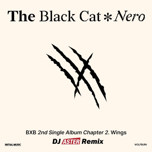 BXB - 검은 고양이 네로 (The Black Cat Nero) (ASTER Remix) Cover