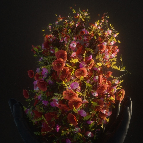 Image Cover