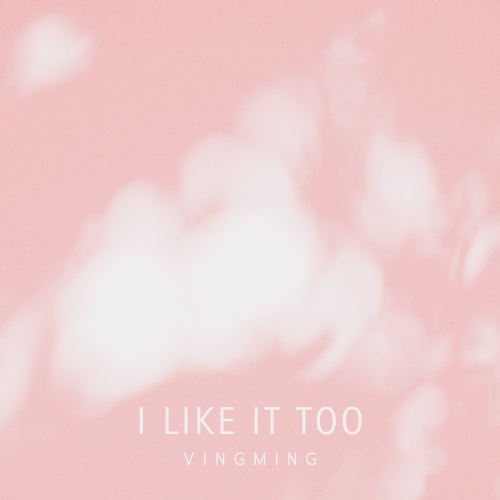 VINGMING - I like it too Cover