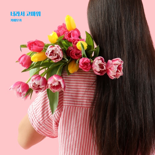 Image Cover