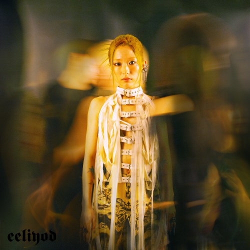 Image Cover