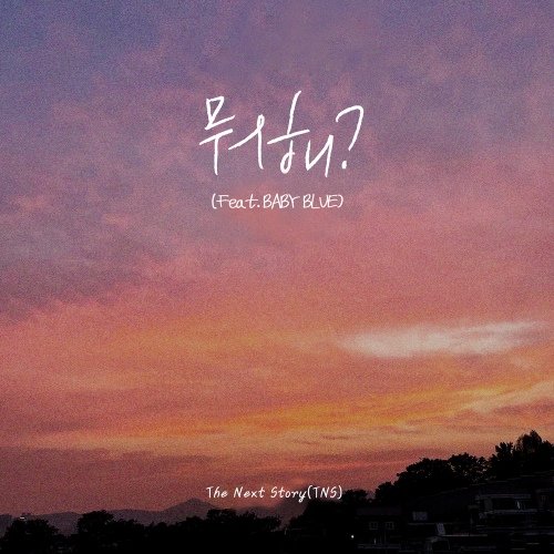 TNS - ﻿뭐해? (I Miss You) (feat. Baby Blue) Cover