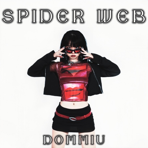 DOMMIU - SPIDER WEB Cover