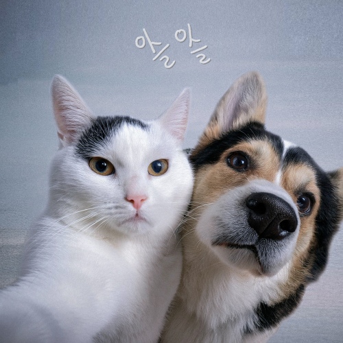 Image Cover