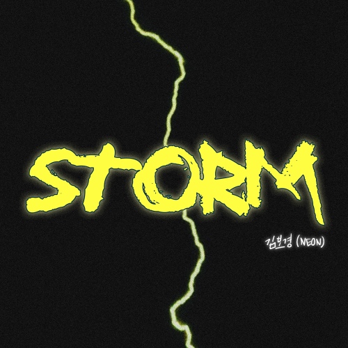 Kim Bo Kyung - Storm Cover