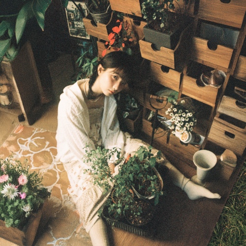 Image Cover