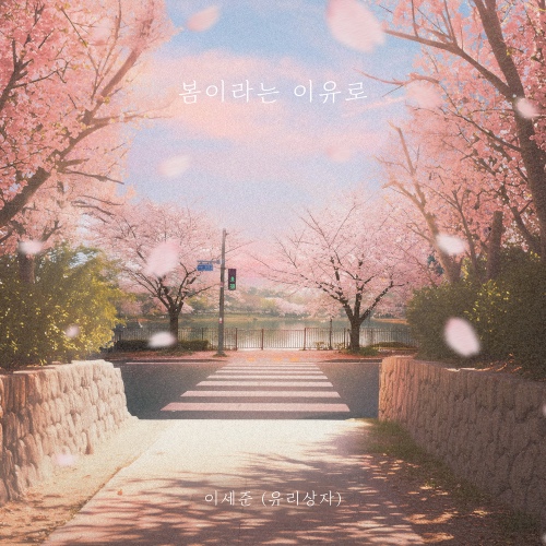 Image Cover