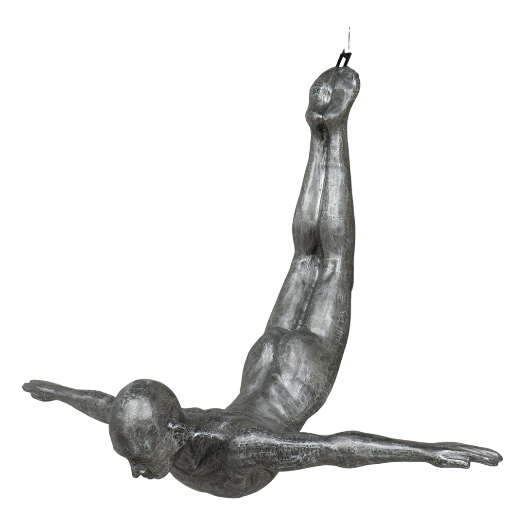 Swim Swallow - XT - Silver Dark Brown