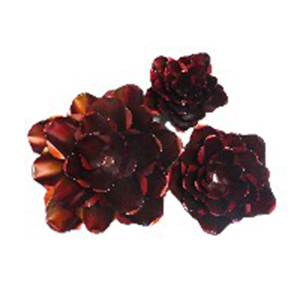 Mawar - S - Red
