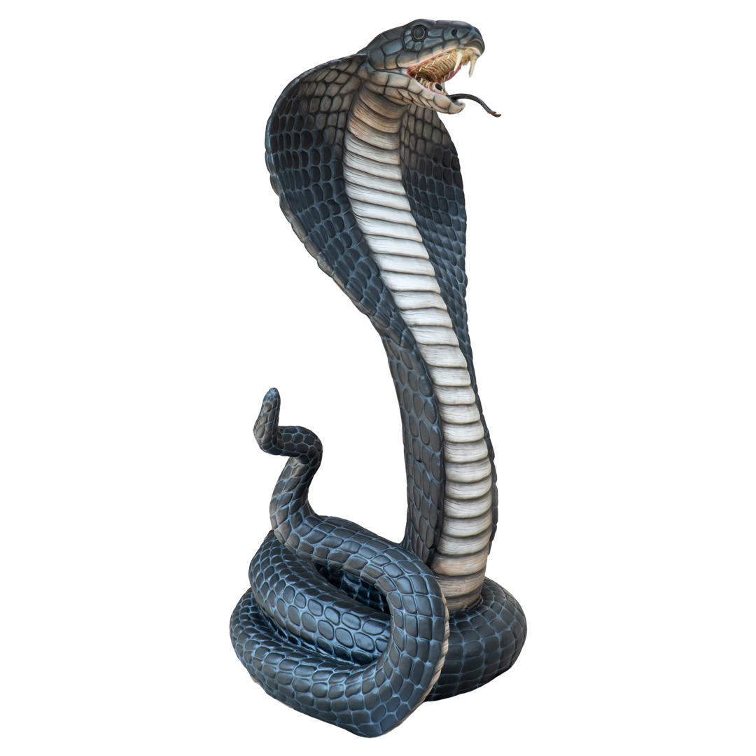 Cobra Yonkav - SJ - Charcoal