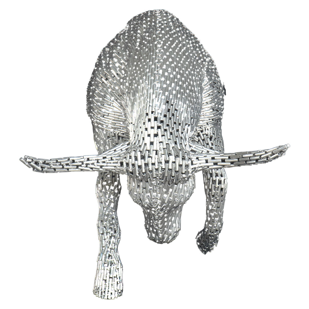 Half Bull - XT - Silver Poles TB