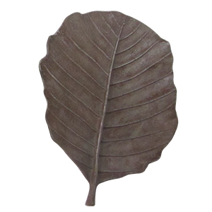Ketepeng Leaf - XS - Brown Silver TP