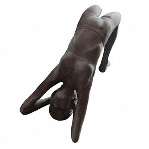 Ponytail Pigeon Pose - L - Black Silver TP
