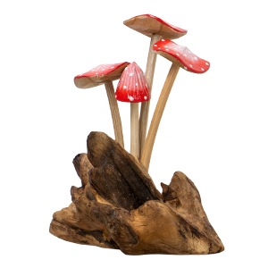 Red Mushroom Kritik - XS - Natural