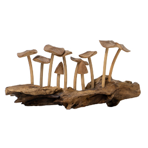 Shroom Buddies - Natural
