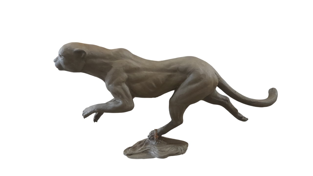 Sirocco Running Cheetah - L - Silver ST