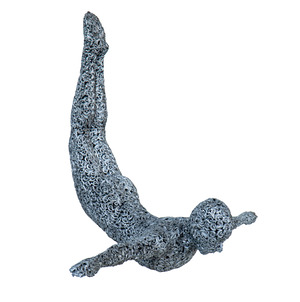 Swim Swallow - J - Black Silver TP
