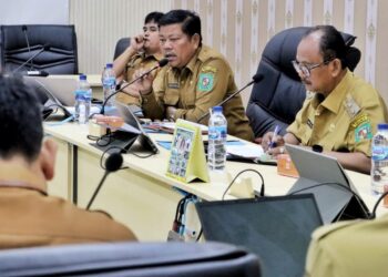 Plt Kadis PPKB Simalungun Duduk Sejajar Dengan Wabup ZW