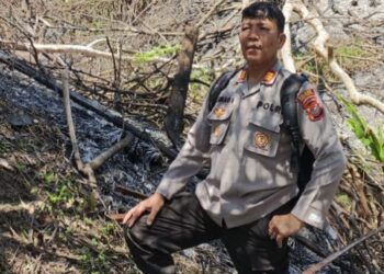 1 dari 3 DPO Kasus Narkoba Pulang Kampung, Belum Ditangkap