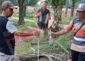 Bom Molotov Ditemukan di Kebun Sawit, AKBP Choky : Ada Lagi Ditangani Reskrim