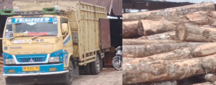 Barbuk Mobil dan Kayu Gelondongan “TEGAR” Dilepas, Kini di Kilang Sawmil Enro