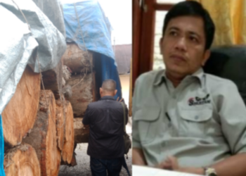 Kayu Bulat Diangkut Truck Diamankan Sebulan Lalu, Belum Penetapan TSK, Kendra : Dari Hutan