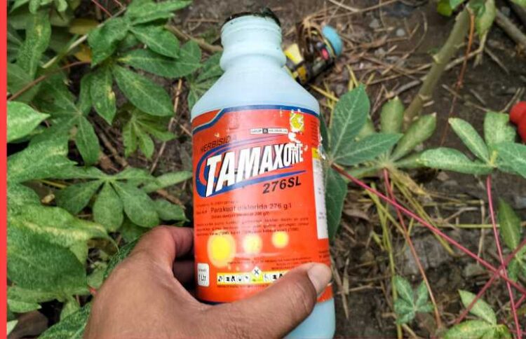 Minum Racun Karena Tak Sanggup Menahan Penderitaan, Akhirnya Meninggal