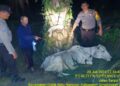Polisi Tiba di TKP, Setelah Dua Security Kebun Dolok Ilir Bonyok Dihajar Massa