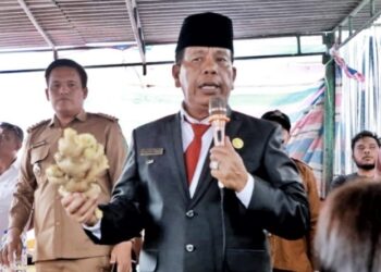 Export Fresh Ginger Perdana Simalungun – Dubai, Bupati RHS: Harus Berlanjut