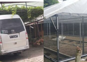 Kegiatan DD Margo Mulyo, Kebun Anggur Dibuat di Lahan Pribadi Pangulu dan Kaur