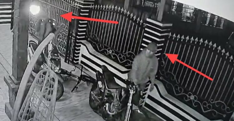 Rumah Oknum Pejabat Simalungun Disatroni Maling, Dua Septor Dicuri dari Teras