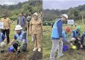 Kolaborasi PLN dan Dishut, Penanaman Sejuta Pohon Serentak untuk Rehabilitasi Lingkungan