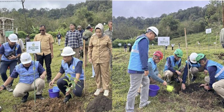 Kolaborasi PLN dan Dishut, Penanaman Sejuta Pohon Serentak untuk Rehabilitasi Lingkungan