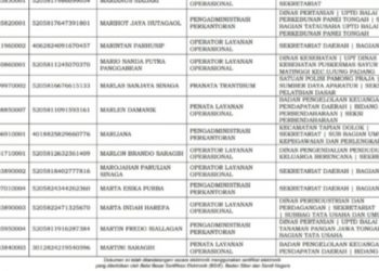 “Tidak” Pernah Honorer di SDN 095203 Balimbingan, Ikut Seleksi dan Lolos P3K