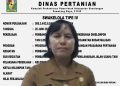DAK 2024 Swakelola Poktan Dipihak Ketigakan, Sekdis Nora “Lempar Bola Panas”