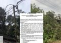 Kabel Milik PT. PLN Patah Ditimpa Pohon yang Ditebang, Akibatnya Padam Listrik