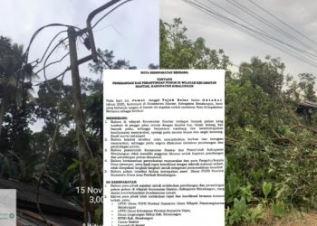 Kabel Milik PT. PLN Patah Ditimpa Pohon yang Ditebang, Akibatnya Padam Listrik