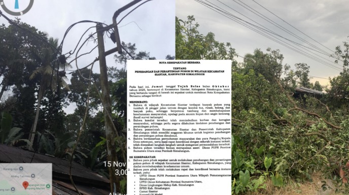 Kabel Milik PT. PLN Patah Ditimpa Pohon yang Ditebang, Akibatnya Padam Listrik